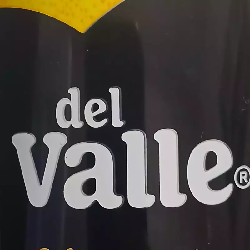 Suco Del Valle 290ml