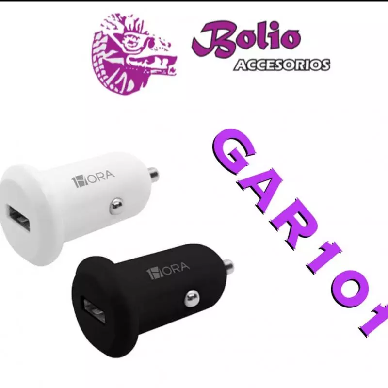 Clave: GAR101 Plug in 1.0A