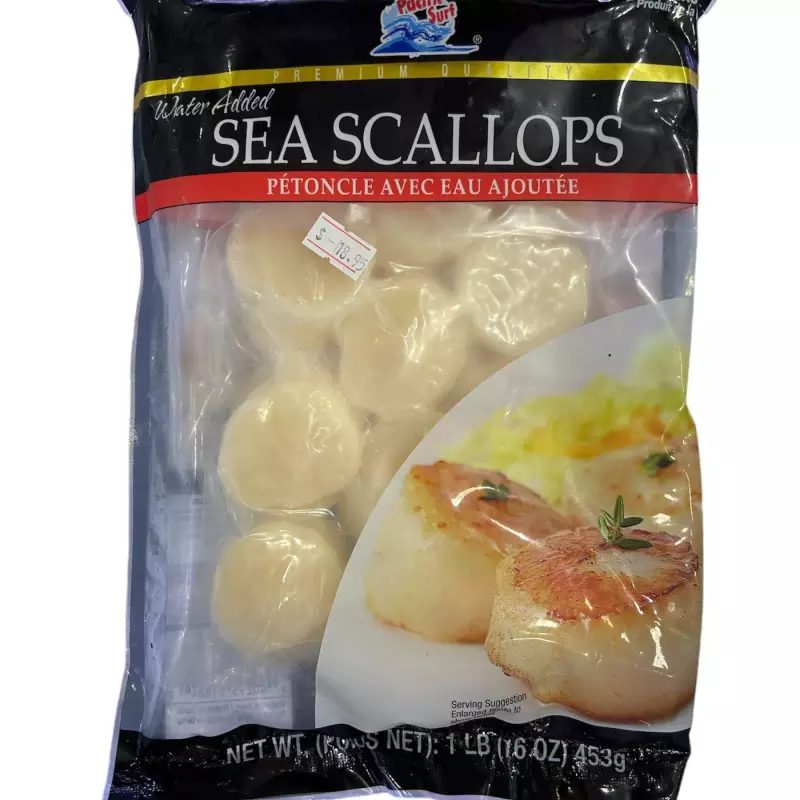 大扇贝 sea scallops