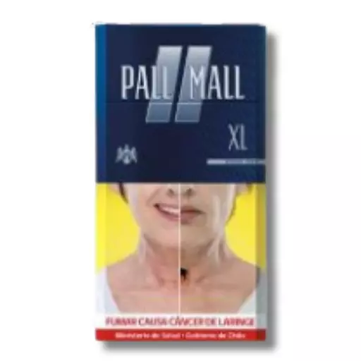 PALL MALL 20 PLOMO XL