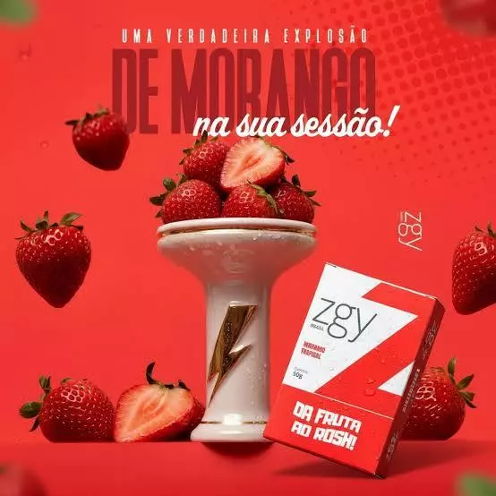 ZIGGY MORANGO TROPICAL