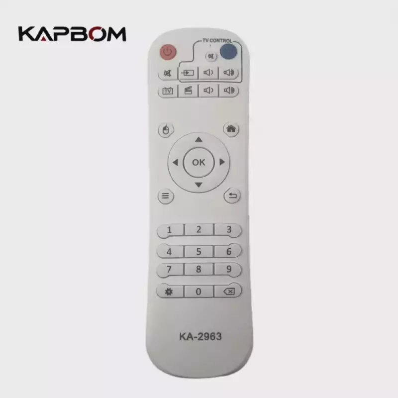 CONTROLE BTV KA-2963