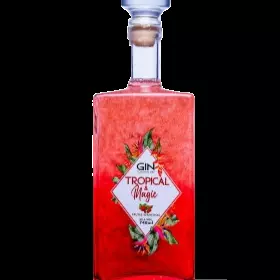 Tropical e Magic Energético 2l