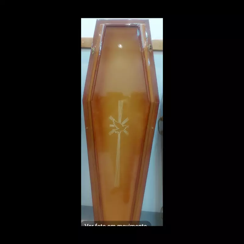 Urna Popular 022