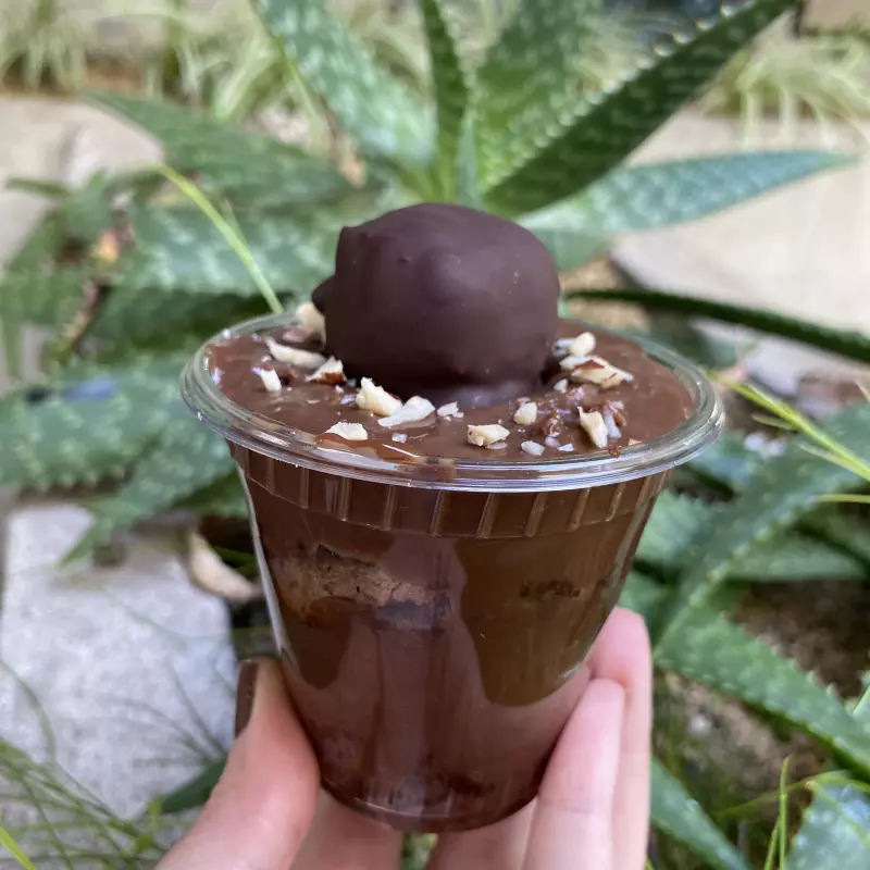 “Ferrero Rocher” LOWCARB congelado(cópia)