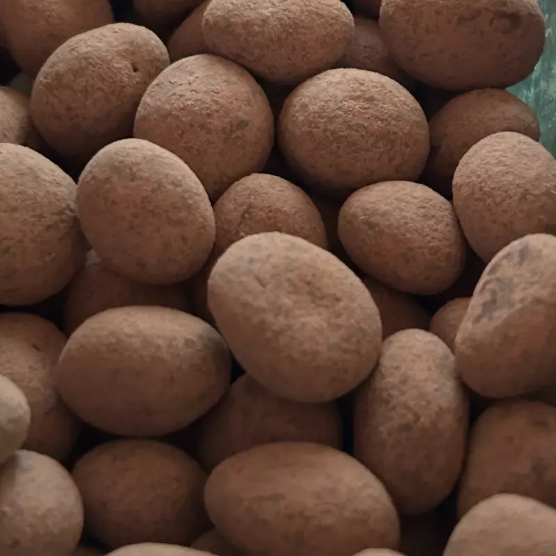 Pasa Cocoa 100 gr.
