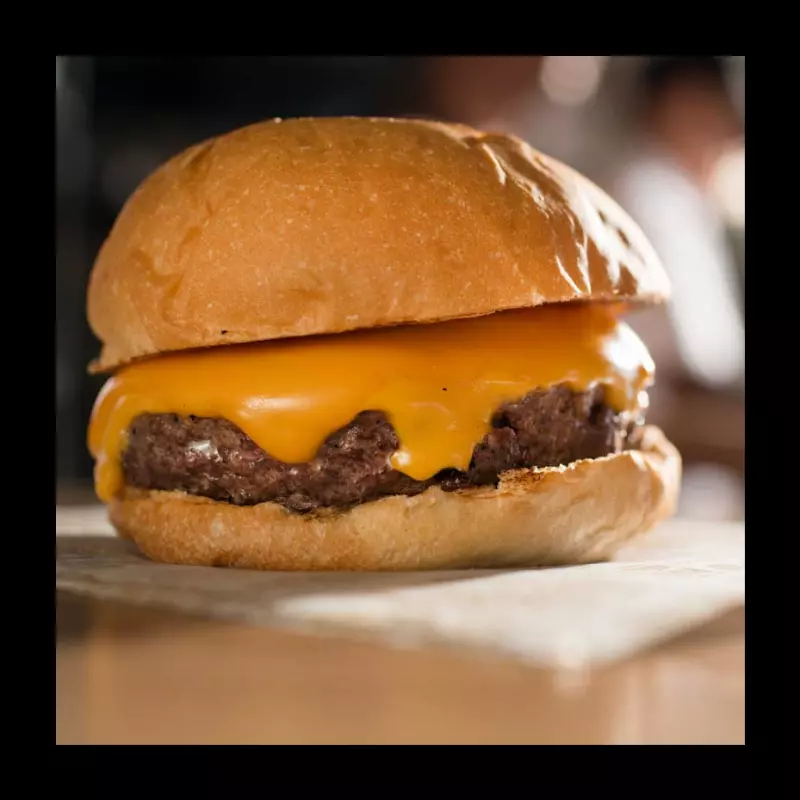 X-Burguer / X バーガー