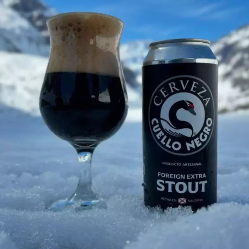 CUELLO NEGRO STOUT