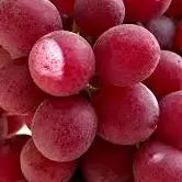 UVA ROJA 1 KILO