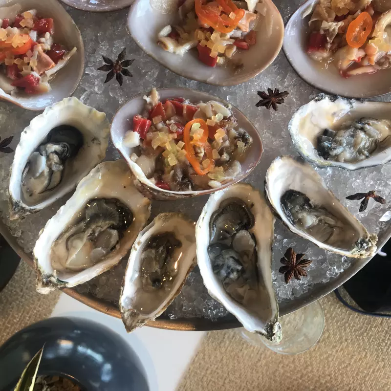 CHOCOLATA, PATA DE MULA, OSTIÓN