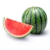 Sandia Mini