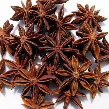 100 - Anis Estrelado (50g)