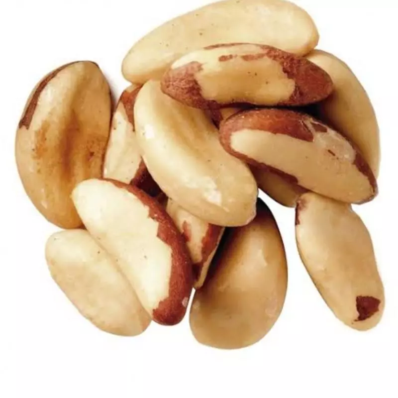 Castanha Pará extra large