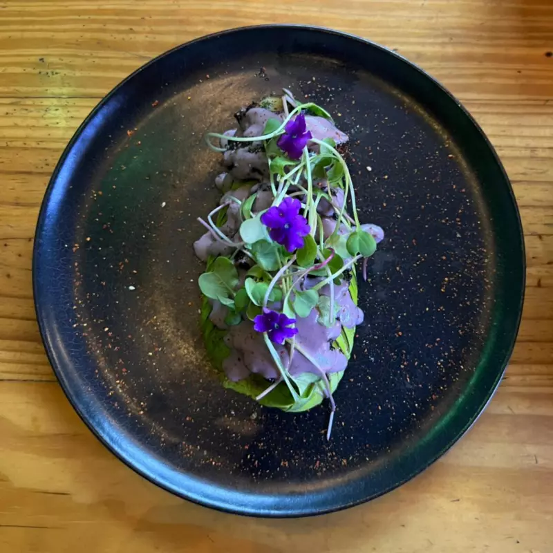 Pulpo de Olivo