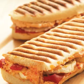 PANINIS