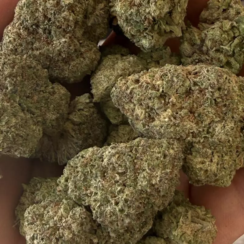 •MANGO PREMIUM MID📍