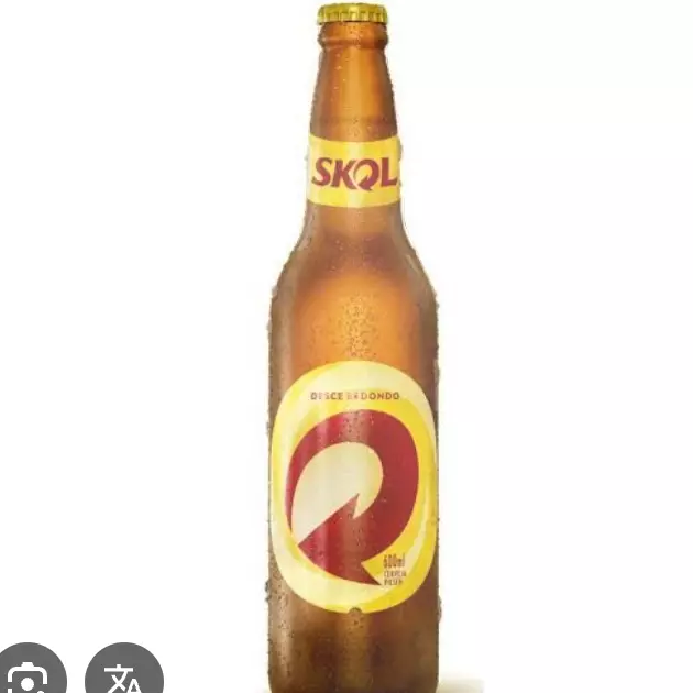 SKOL (600ml)