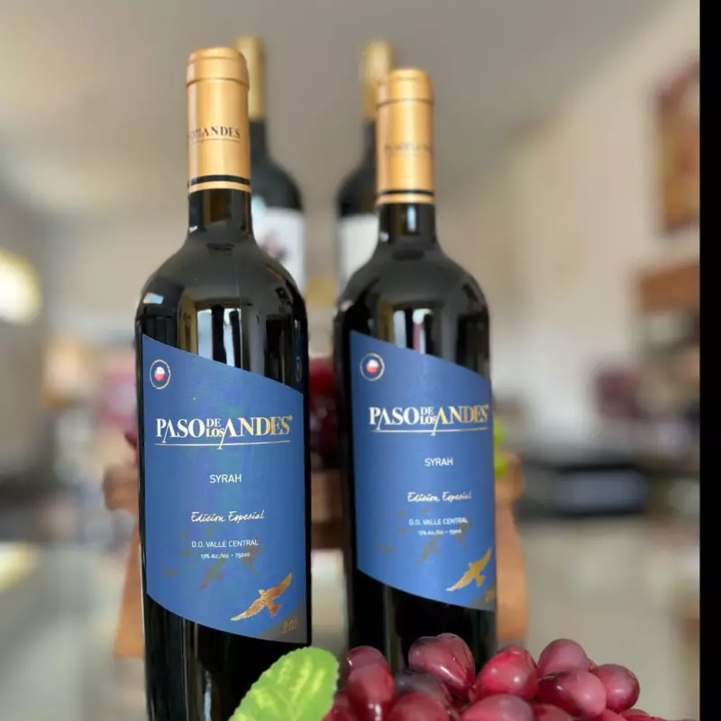 Vinho Paso de Los Andes