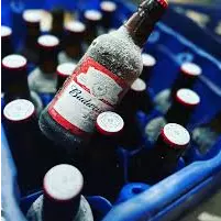 Budweiser 300ml cx 24uni