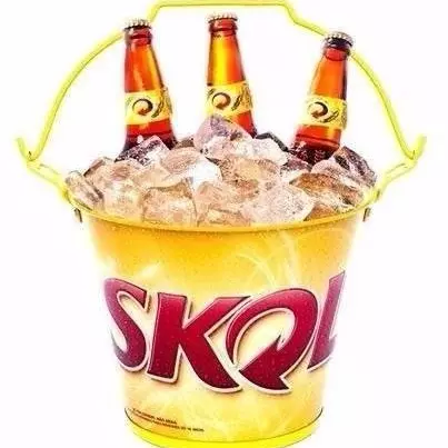 BALDE DE SKOL 600ML 4UND