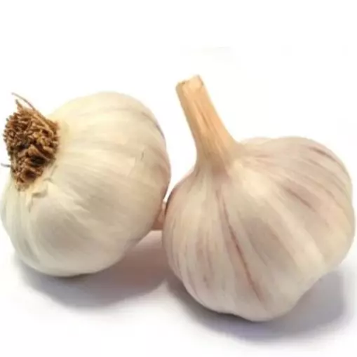一条蒜米 tira de Ajo