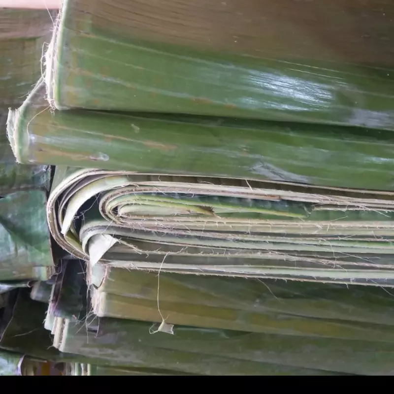 HOJA PARA TAMAL  KILO 1200
