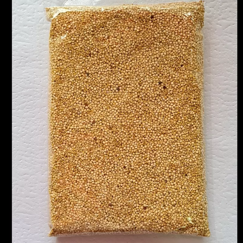 SEMILLA DE QUINOA