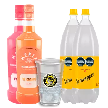 1 MERLE + 2 TONICAS + VASO HIELO