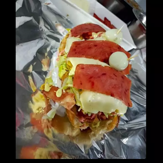 perro de la casa