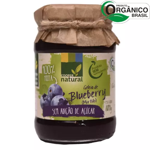 Geleia de Blueberry Orgânico 180g