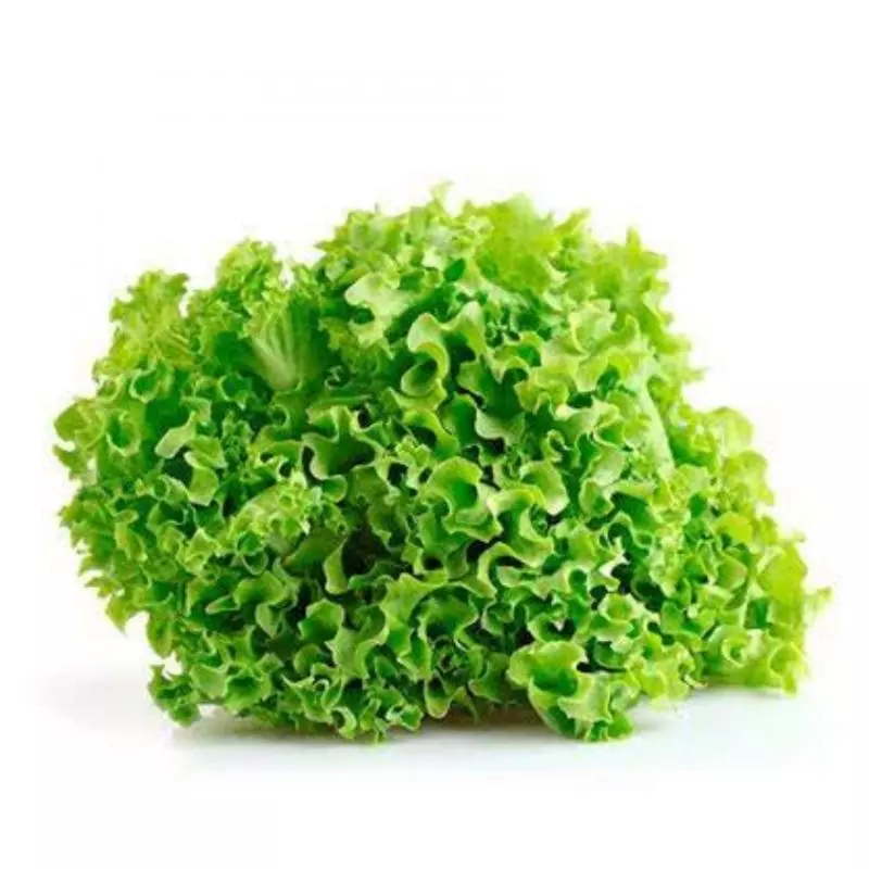 Lechuga Crespa Verde x250gr