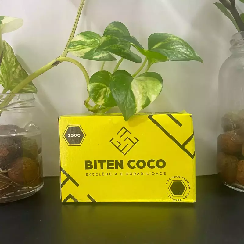 Carvão de Coco Biten 250g