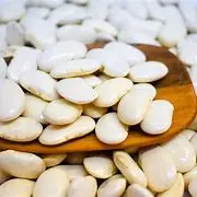 Feijão Branco 100g