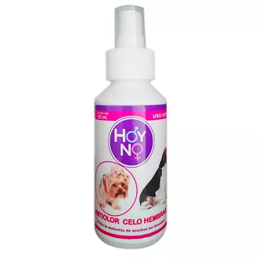 HOY NO 120 ML