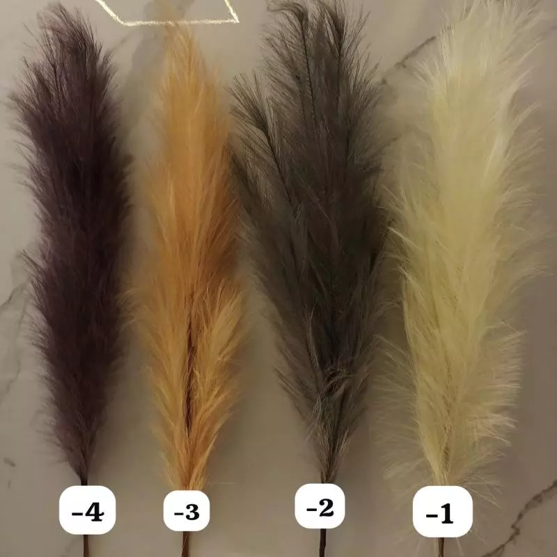 PLUMAS 262-1, 2, 3, 4
