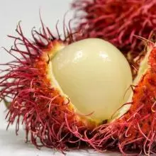 Rambutan