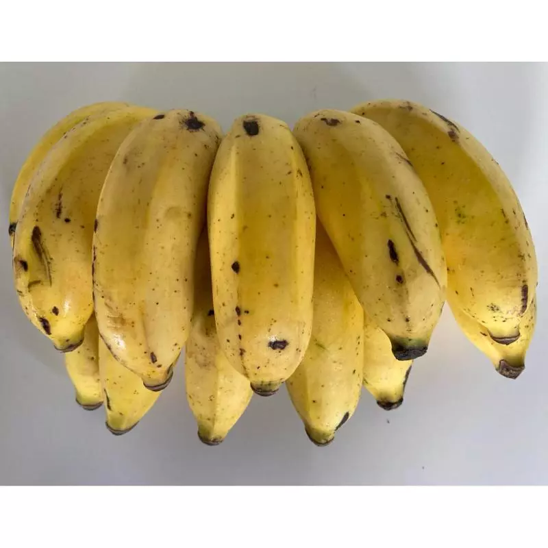 Banana Maçã (Calais)