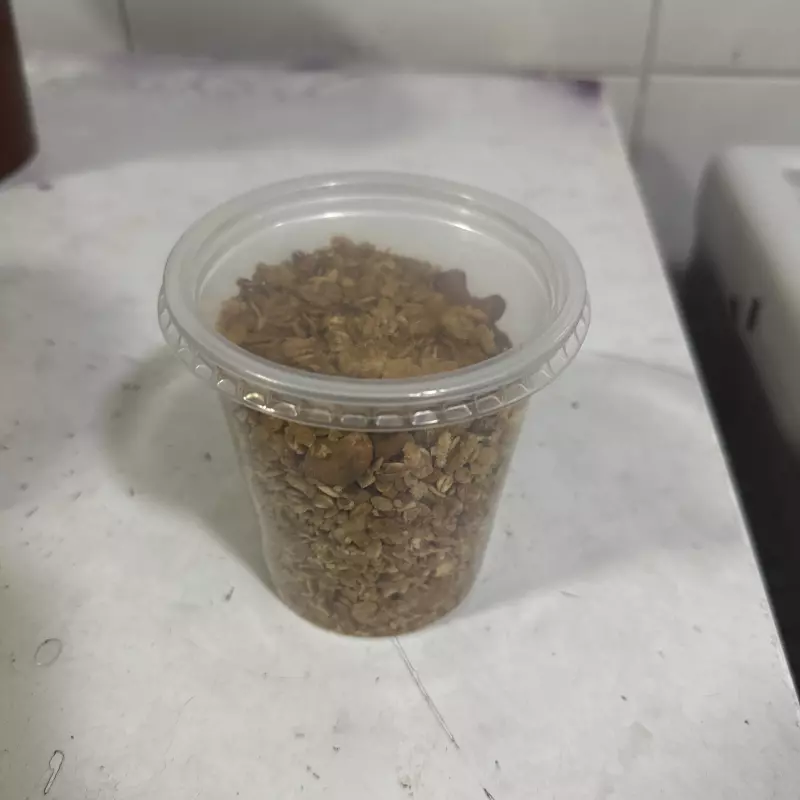 Pote granola tia Sônia-250g