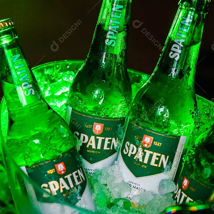 Balde C/6 Spaten Long Neck